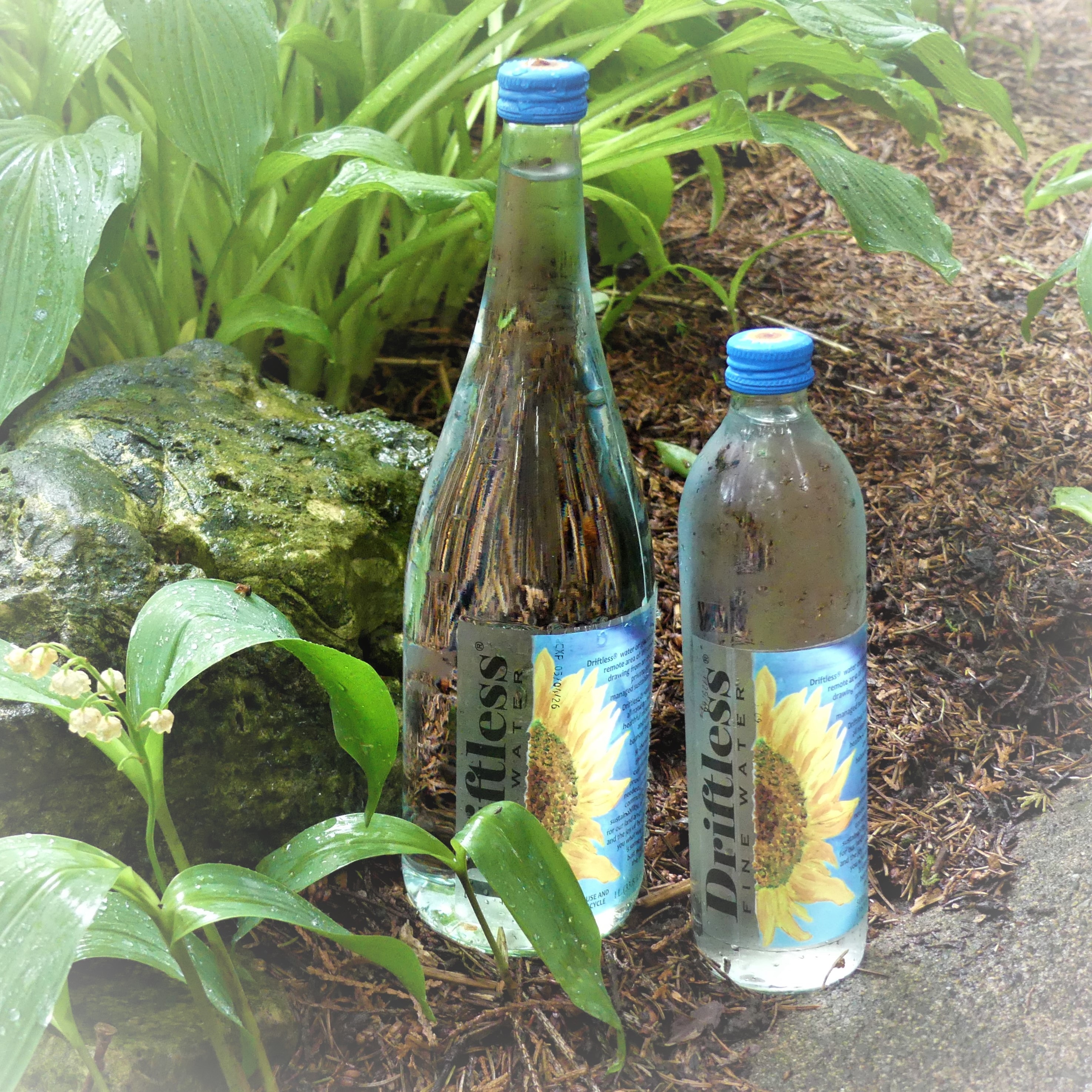 Driftless Fine Water 750ml glass bottle with crown cap